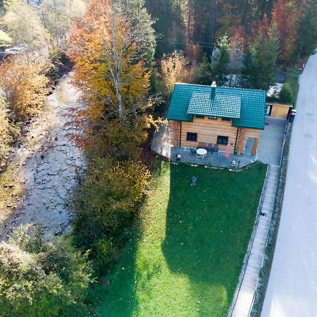 Ferienwohnungen Blockhaus - Zwergenhaeusl Grünau im Almtal Екстериор снимка