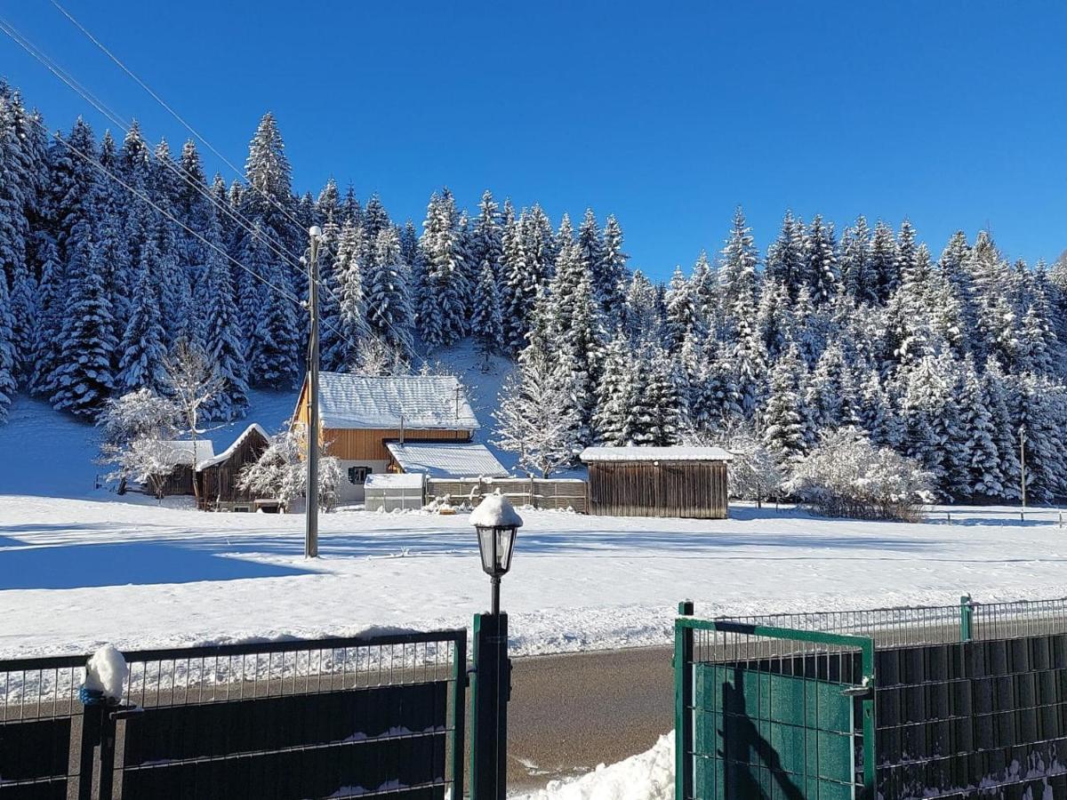 Ferienwohnungen Blockhaus - Zwergenhaeusl Grünau im Almtal Екстериор снимка